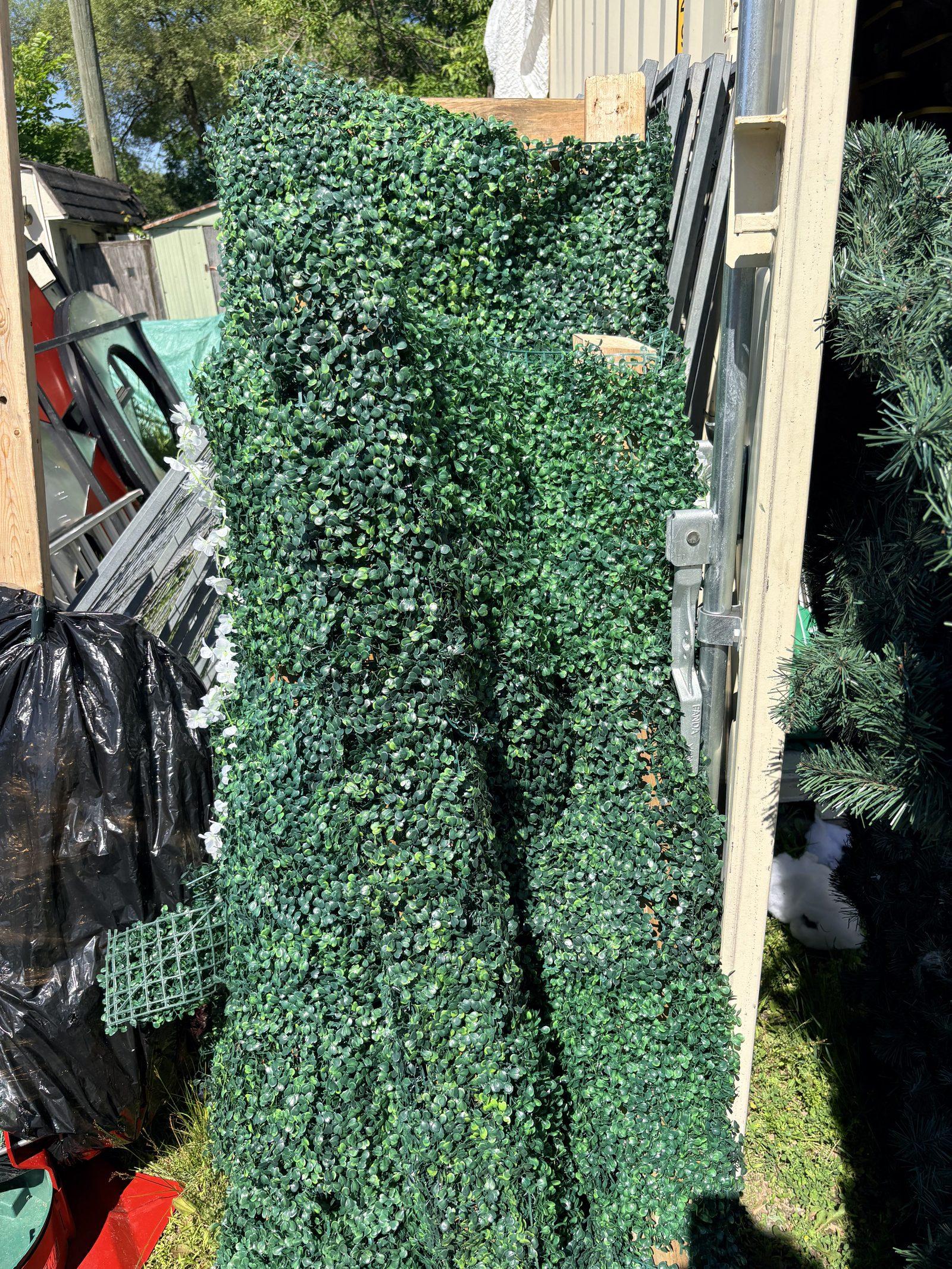 Arche de verdure / Greenery Arch